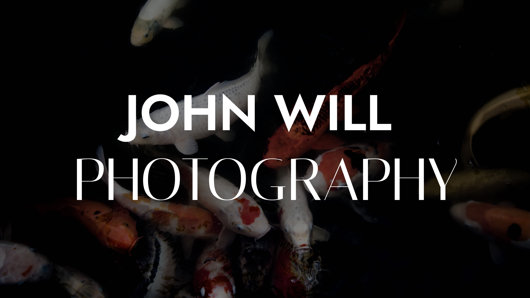 John Will Photography Portfolio